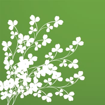 Clover foliage