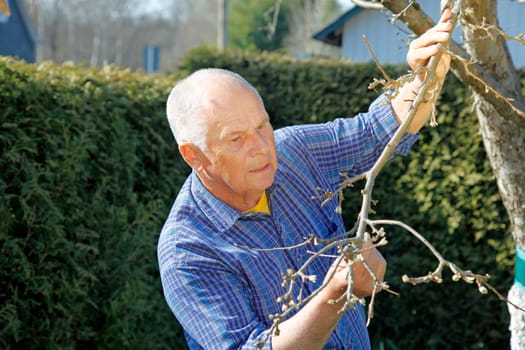 Senior in the garden