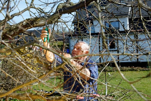 Senior in the garden