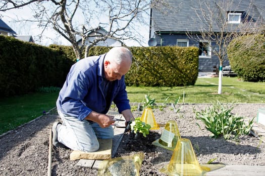Senior in the garden