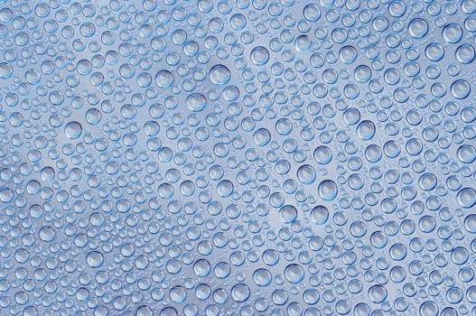 blue water drops