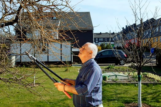 Senior in the garden