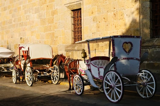 Horse drawn carriages in Guadalajara, Jalisco, Mexico