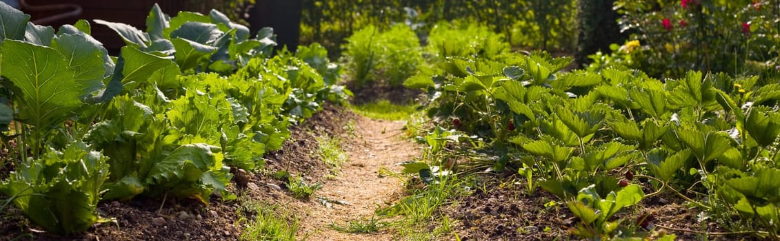 Intercropping