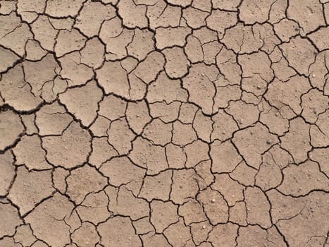 Dry ground texture