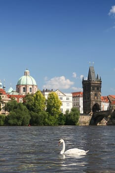 Charles Bridge