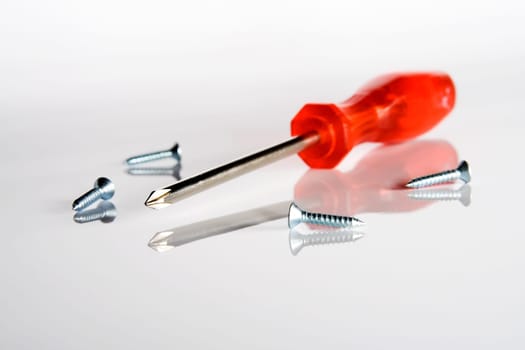 Screwdriver and screws