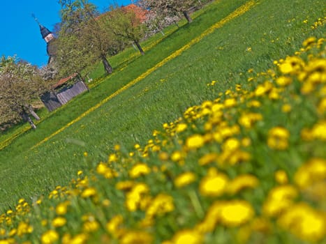 rural idyll