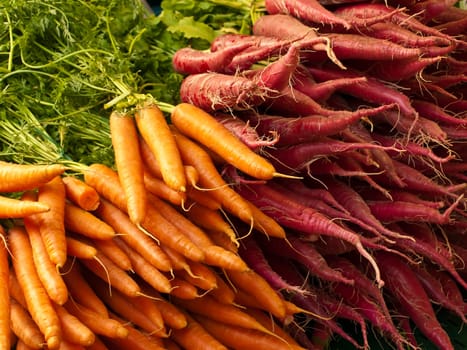 Carrots and radish