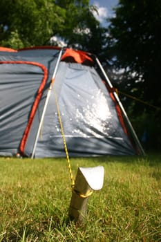 Tent with focus on the tent peg