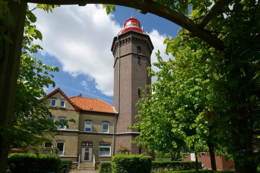 on the extensively overgrown Leutturm Dahmeshöved north of Grömitz,Schleswig-Holstein