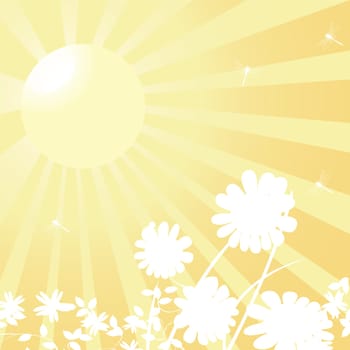 Sun and flowers