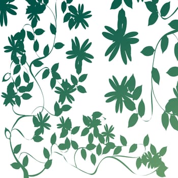 Foliage