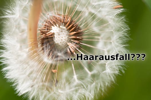 Hair loss?