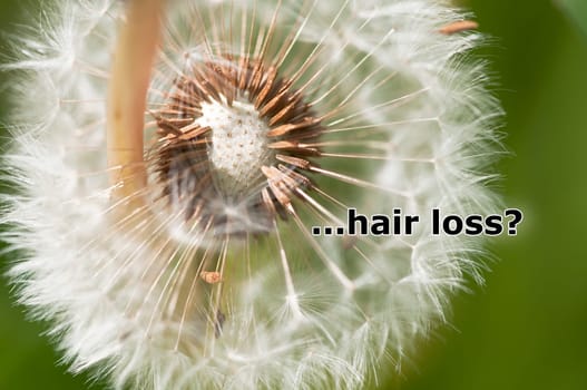 Hair loss?
