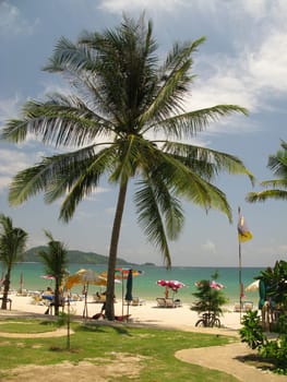 Tropical beach