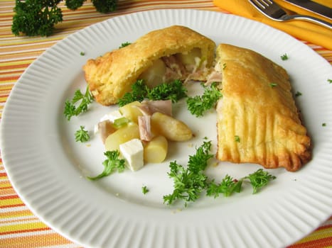 Dumplings filled with vegetables and chicken