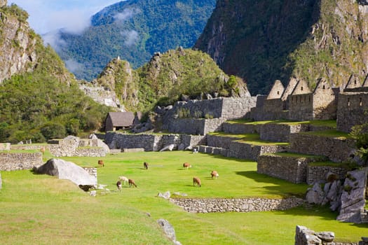 Machu Picchu