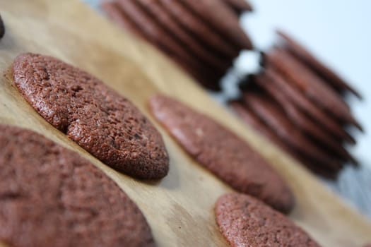 Chocolate Cookies