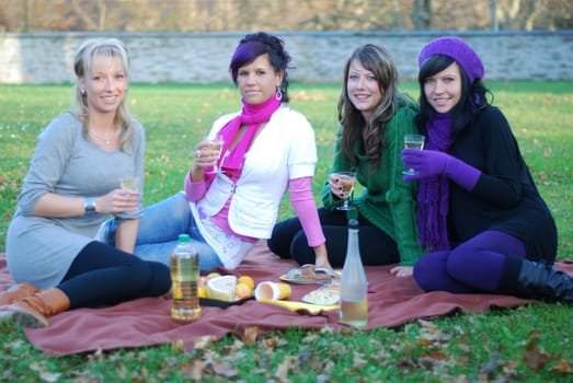Picnic