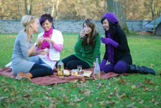 Picnic