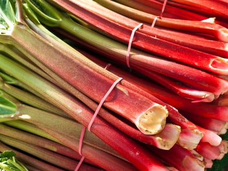 Rhubarb