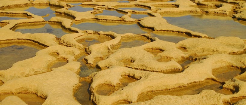 Salt Fields