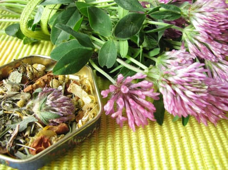 Tea herbs with red clover