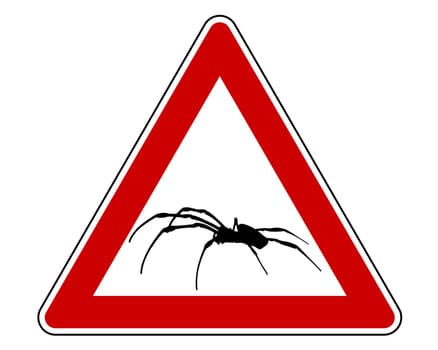 Attention spider