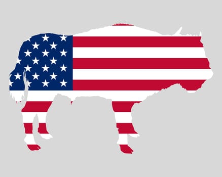 USA flag with bison
