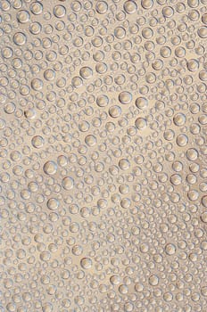 bubbles