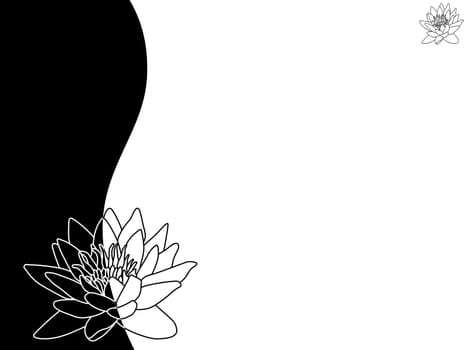 floral background