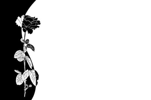 floral background