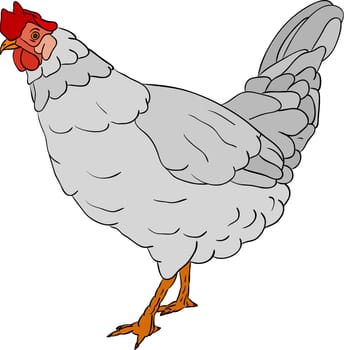 hen color