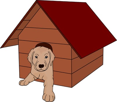 house dog