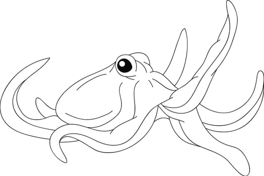 octopus