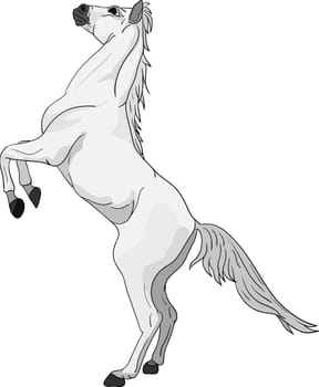horse