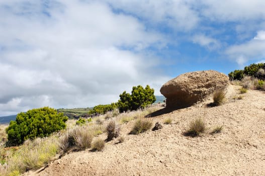 Landscape in Faial, Azores
