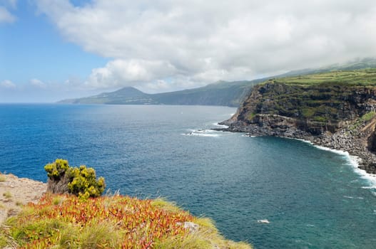 Landscape in Faial, Azores