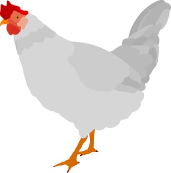 hen