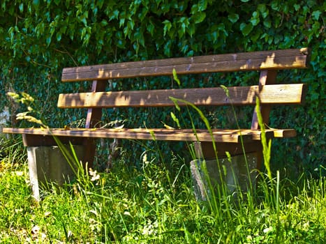 Park Bench