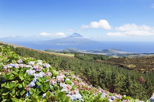 Landscape of Faial, Azores