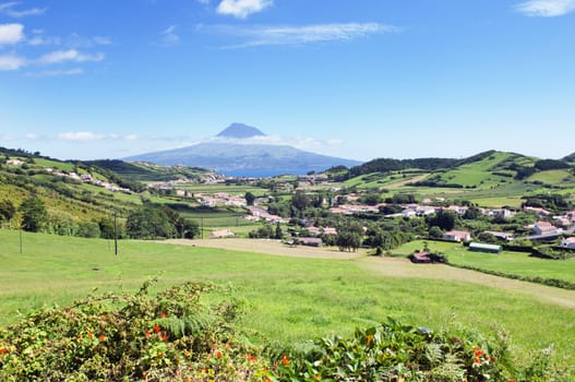 Landscape of Faial, Azores