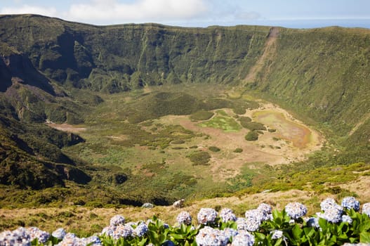 Inside of Caldeira volcano in Faial, Azores