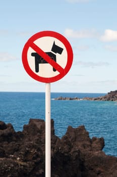 No dogs allowed sign
