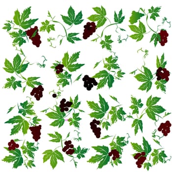Grapes