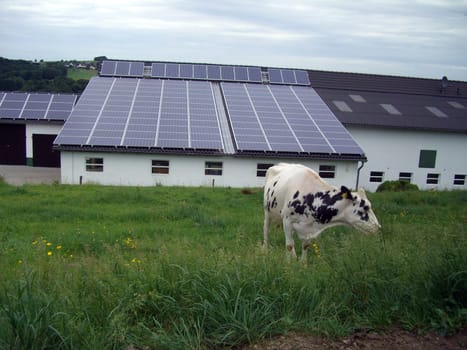 Solar panels on a stable