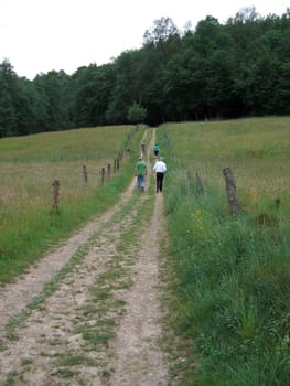 Walk among pastures