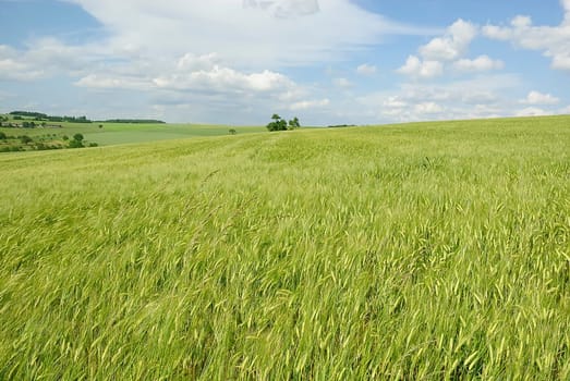 Grain and Sky 2
