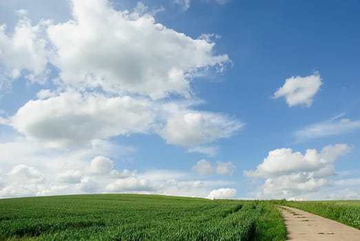 Grain and Sky 11